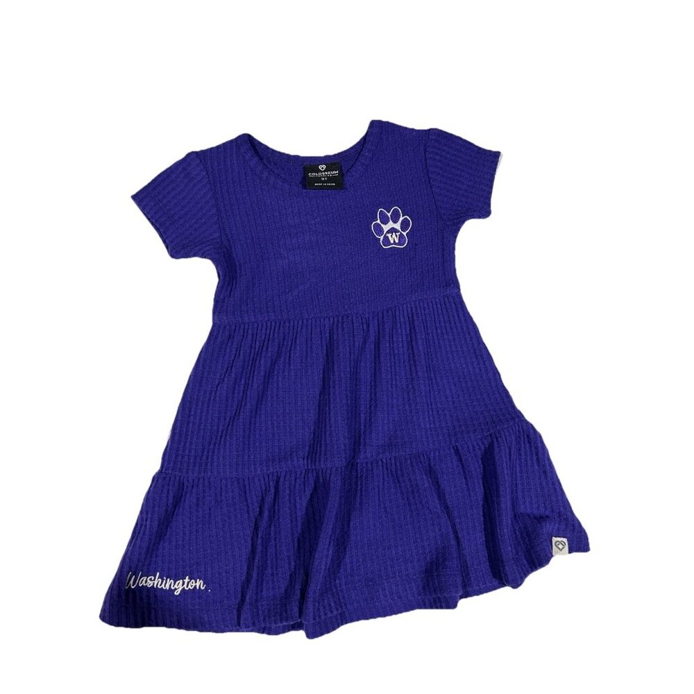 NEW Washington Huskies Colosseum Purple Waffle Dress Girl's Toddler 3T - Picture 1 of 9